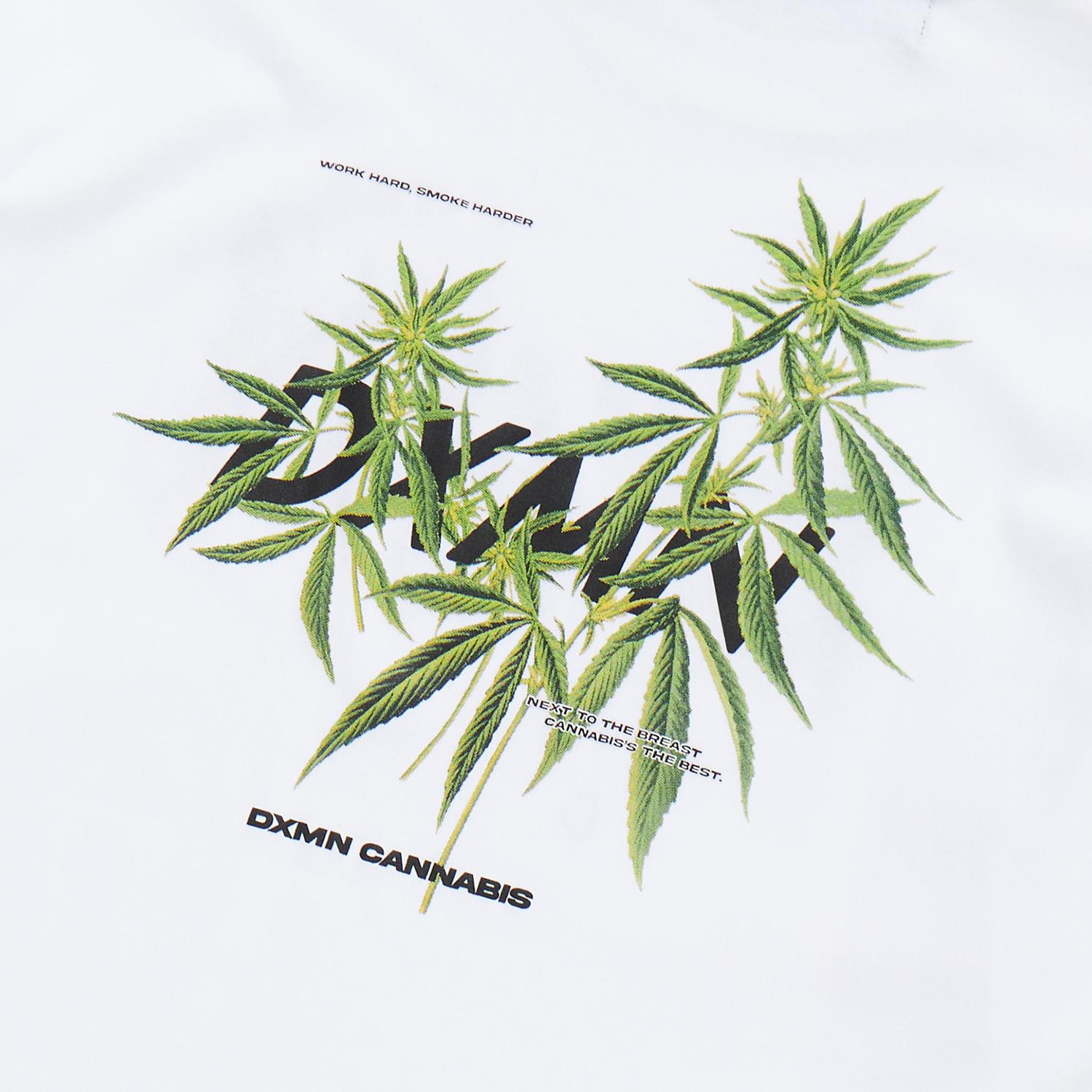 DXMN CANNABIS Oversized Tee (White) 4